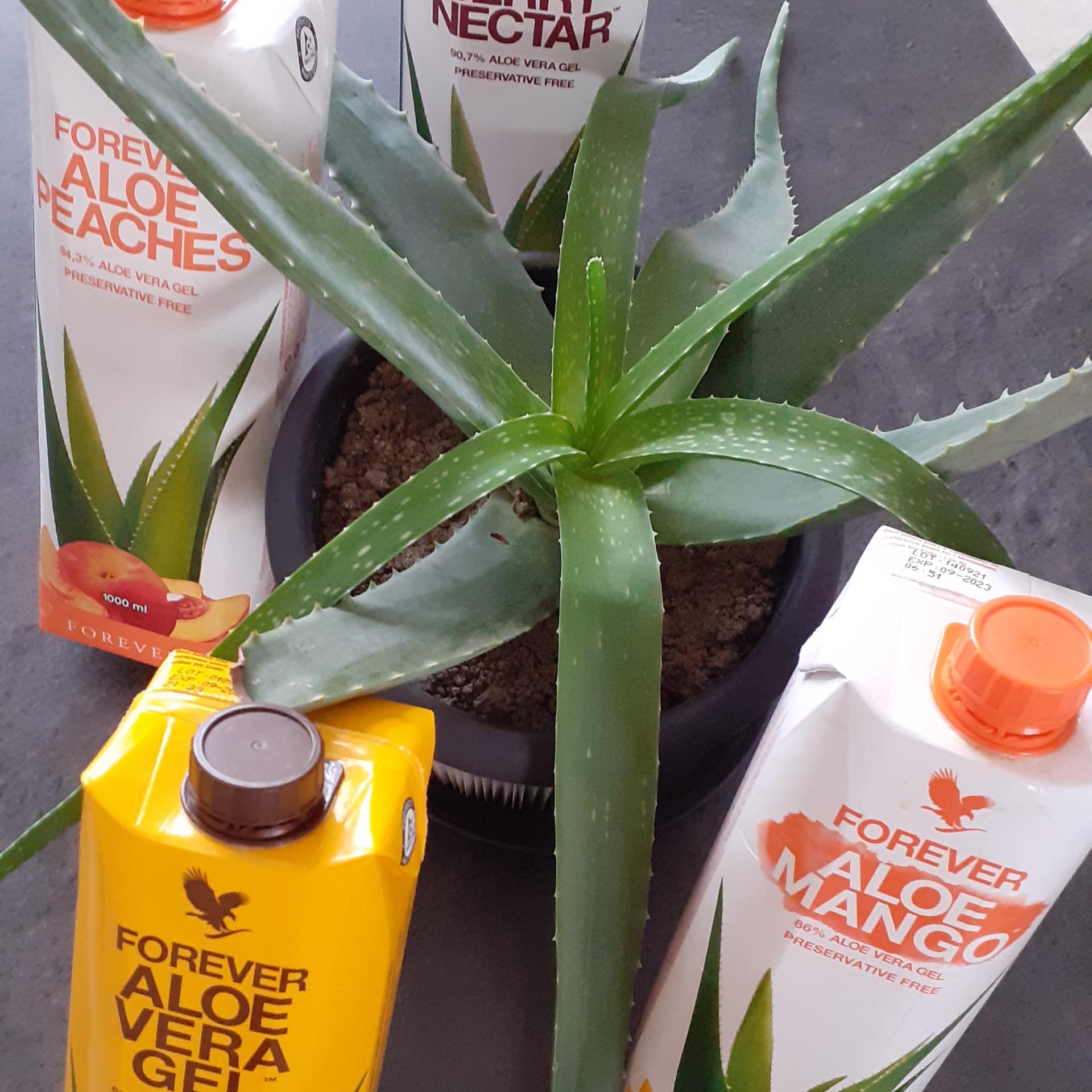 Energie aloe produits